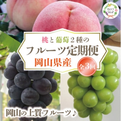 【発送月固定定期便】【2026年先行予約】桃、ピオーネ、シャインマスカット定期便 (岡山県産)全3回