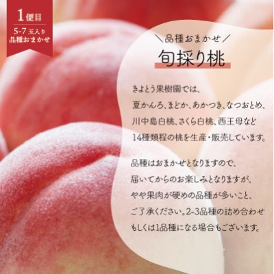 【発送月固定定期便】【2026年先行予約】桃、ピオーネ、シャインマスカット定期便 (岡山県産)全3回