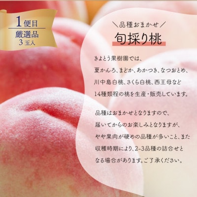 【発送月固定定期便】【2026年先行予約】厳選品の大玉桃3玉と大粒シャインマスカットの定期便!全2回