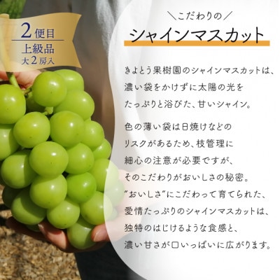 【発送月固定定期便】【2026年先行予約】厳選品の大玉桃3玉と大粒シャインマスカットの定期便!全2回