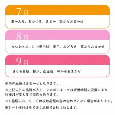 【発送月固定定期便】【2026年先行予約】桃好きの為の桃3回便!(上級品5-7玉入)(岡山産)全3回