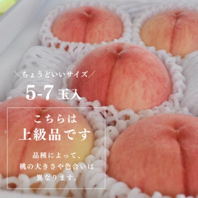 【発送月固定定期便】【2026年先行予約】桃好きの為の桃3回便!(上級品5-7玉入)(岡山産)全3回