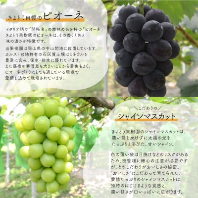 【発送月固定定期便】桃とピオーネ&シャインマスカット上級品(岡山県産)全2回