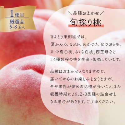 【発送月固定定期便】【2026年先行予約】厳選した桃と大粒のシャインマスカットが届く(岡山産)全2回