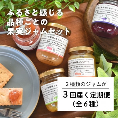 【発送月固定定期便】旬の時期に果樹園から届く!こだわり果実ジャムの3回便(岡山県産)全3回