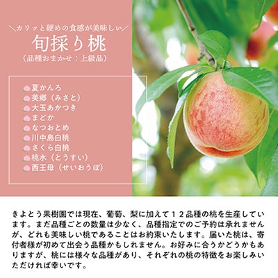 2023年8月発送開始『定期便』量より質!桃と葡萄と梨の上級品が届く岡山果物便!全3回