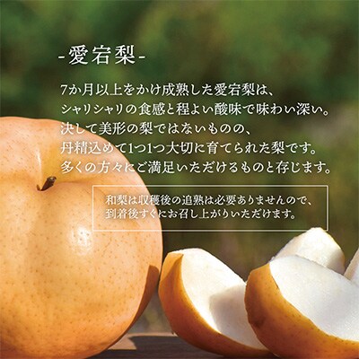 2023年8月発送開始『定期便』旬採り桃とマイハート、愛宕梨が届く岡山満足定期便!全3回