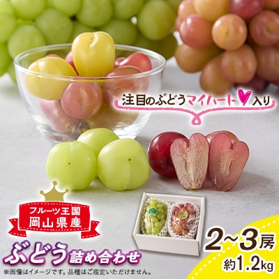 【産地直送】フルーツ王国岡山シャインマスカットの娘マイハート入り!ぶどう1.2kg詰め合わせ
