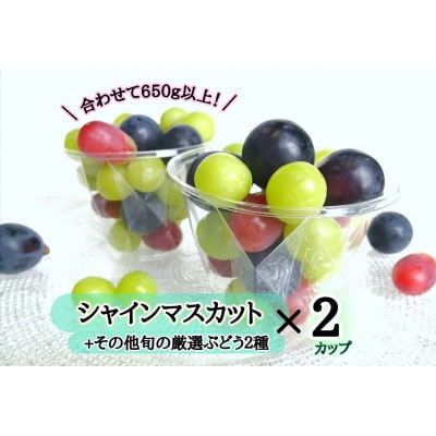 【産地直送】フルーツ王国岡山!シャインマスカット入りぶどう粒カップ×2