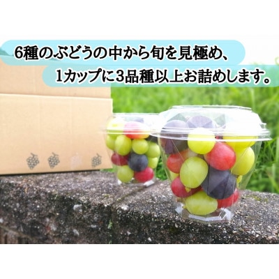【産地直送】フルーツ王国岡山!シャインマスカット入りぶどう粒カップ×2