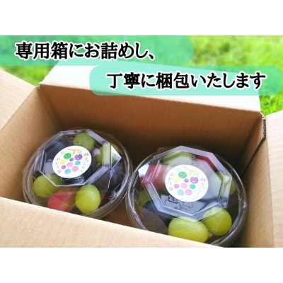 【産地直送】フルーツ王国岡山!シャインマスカット入りぶどう粒カップ×2