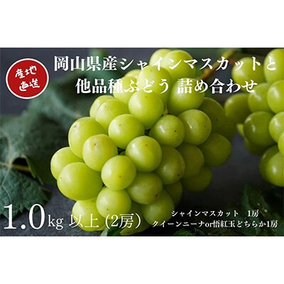 厳選　岡山県産　シャインマスカット1房と他品種ぶどう詰合せ　計1.0kg以上　2房　産直・朝採れ