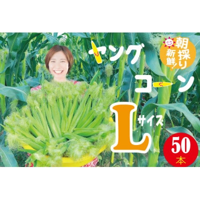 ヤングコーン  生 5つ星ホテルご用達 レストランサイズ L 50本 8-12cm 皮つき