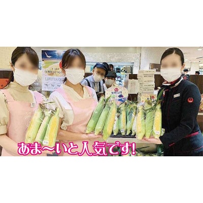 新鮮 蒜山産 甘いとうもろこしの 食べくらべセット 黄3本と白3本、MIX_KI_SHIRO_6