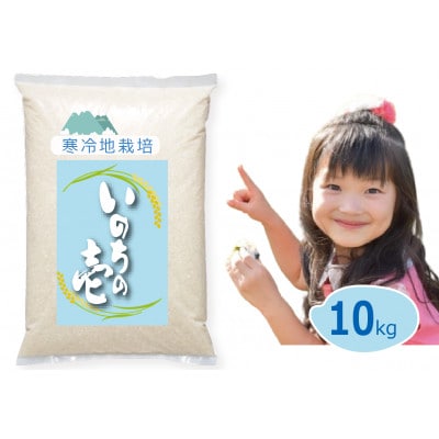 【2026年 新米】寒冷地栽培 特別栽培米 いのちの壱 白米 10kg (5kg×2) 岡山の雪国産