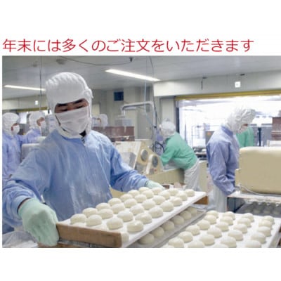 正月用 12月22～25日発送 冷凍 丸餅 30個 (10x3) ひめのもち 岡山 蒜山高原