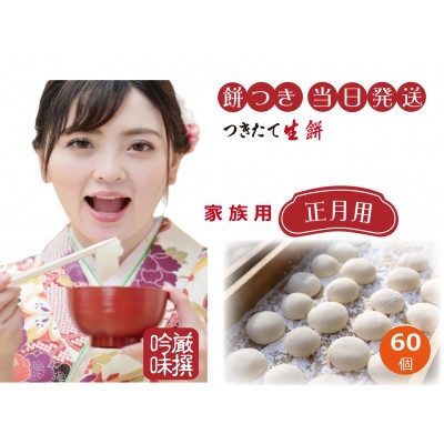 年内発送 正月用  蒜山 杵つき ひめのもち つきたて生餅60個　Nama60