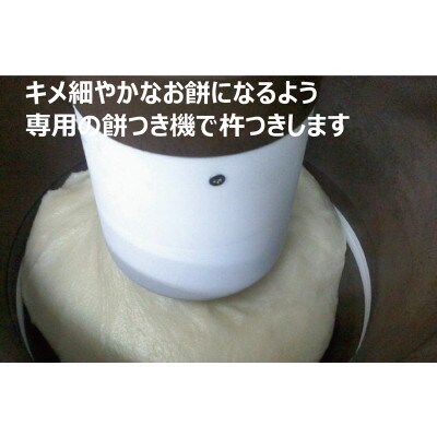 年内発送 正月用  蒜山 杵つき ひめのもち つきたて生餅60個　Nama60