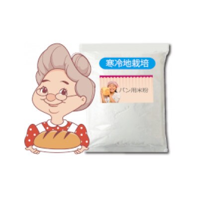 パン用米粉 定番のミズホチカラ 1.8kg【900g × 2袋】微粉末 ベーカリー グルテンフリー