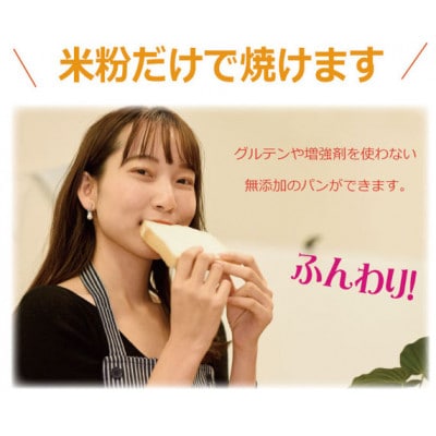パン用米粉 定番のミズホチカラ 1.8kg【900g × 2袋】微粉末 ベーカリー グルテンフリー