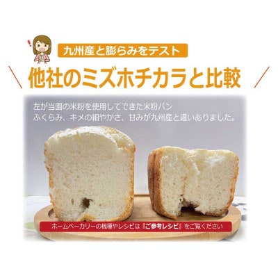 パン用米粉 定番のミズホチカラ 1.8kg【900g × 2袋】微粉末 ベーカリー グルテンフリー