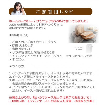 パン用米粉 定番のミズホチカラ 1.8kg【900g × 2袋】微粉末 ベーカリー グルテンフリー