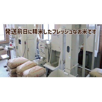 【令和7年新米予約 10月より発送】岡山の雪国産 5kg 100% ミルキークイーン 白米
