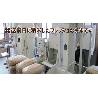 【令和7年新米 10月より発送】岡山の雪国産10kg 100% ミルキークイーン 白米 5kgx2