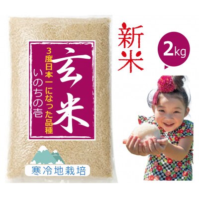 【令和7年新米 10月より発送】3回日本一になった米と同系 いのちの壱 玄米 2kg