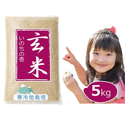 【令和7年新米 10月より発送】3回日本一になった米と同種 いのちの壱 玄米 5kg
