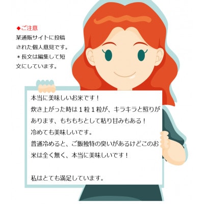 【令和7年新米予約 10月より発送】岡山の雪国産 5kg ミルキークイーン100%  玄米