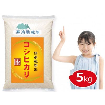 【令和7年新米予約 10月より順次発送】特別栽培米 コシヒカリ 5kg 白米 岡山の雪国産