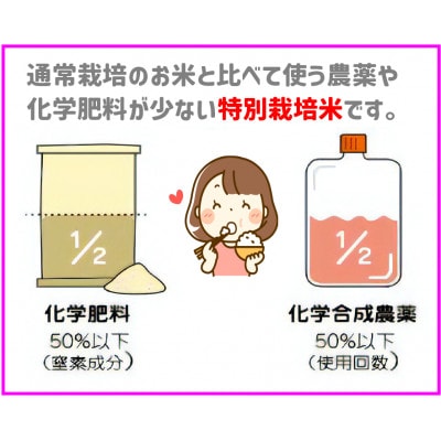 【令和7年新米予約 10月より順次発送】特別栽培米 コシヒカリ 5kg 白米 岡山の雪国産