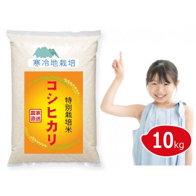 【令和7年新米予約 10月より順次発送】特別栽培米 コシヒカリ 10kg 白米 岡山の雪国産