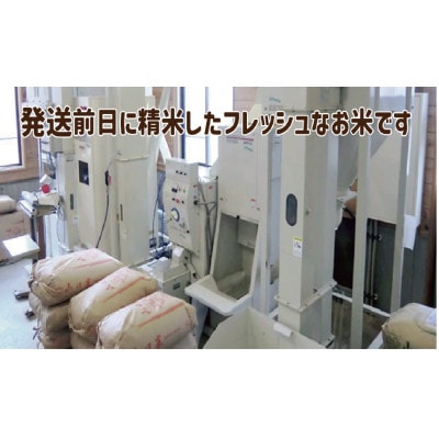 【令和7年新米予約 10月より順次発送】特別栽培米 コシヒカリ 10kg 白米 岡山の雪国産