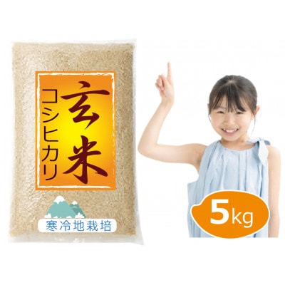 【令和7年新米予約 10月より順次発送】特別栽培米 コシヒカリ 5kg 玄米 岡山の雪国産