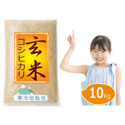 【令和7年新米予約 10月より順次発送】特別栽培米 コシヒカリ 10kg 玄米 岡山の雪国産