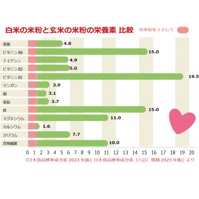 パン・ピザ用 ミズホチカラ 玄米粉 9kg (900g ×10) 岡山 蒜山高原