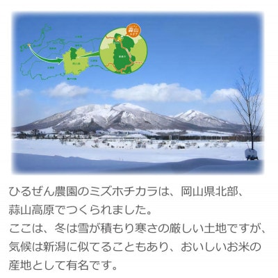 パン・ピザ用 ミズホチカラ 玄米粉 9kg (900g ×10) 岡山 蒜山高原