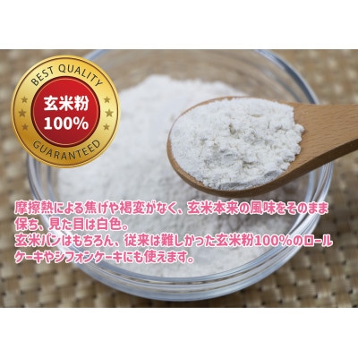 パン ピザ用 ミズホチカラ 玄米粉 20kg