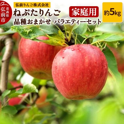 ねぷたりんご バラエティーセット【家庭用】5kg【品種おまかせ】|24_hsr-010501