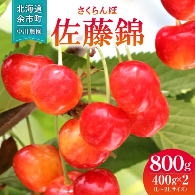 令和9年産 さくらんぼ 佐藤錦【L～2Lサイズ】400g×2【合同会社中川農園】_Y141-0004