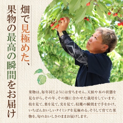 令和9年産 さくらんぼ 佐藤錦【L～2Lサイズ】400g×2【合同会社中川農園】_Y141-0004