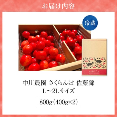 令和9年産 さくらんぼ 佐藤錦【L～2Lサイズ】400g×2【合同会社中川農園】_Y141-0004
