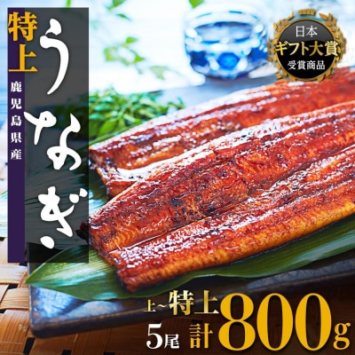 鹿児島県産うなぎ長蒲焼5尾