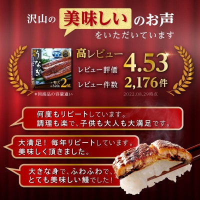 鹿児島県産うなぎ長蒲焼5尾