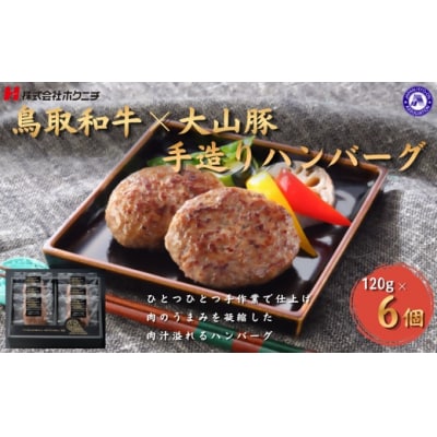 <大山物語>　氷温熟成 鳥取和牛×大山豚手造りハンバーグ 120g×6