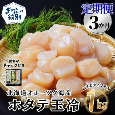【定期便3か月】北海道オホーツク海産ホタテ玉冷大(1kg)×3回