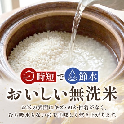 【令和7年産】宮城県産ひとめぼれ【無洗米】　2kg×2袋