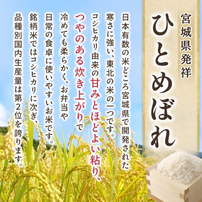 【令和7年産】宮城県産ひとめぼれ【無洗米】　2kg×2袋